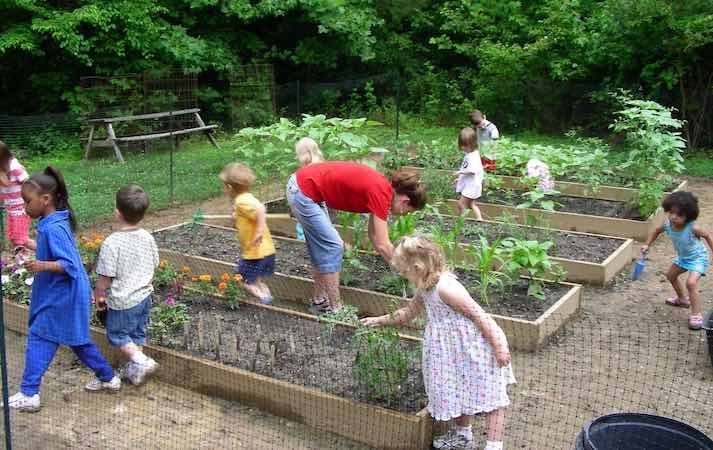 Young children and a teacher working in raised beds in a school garden