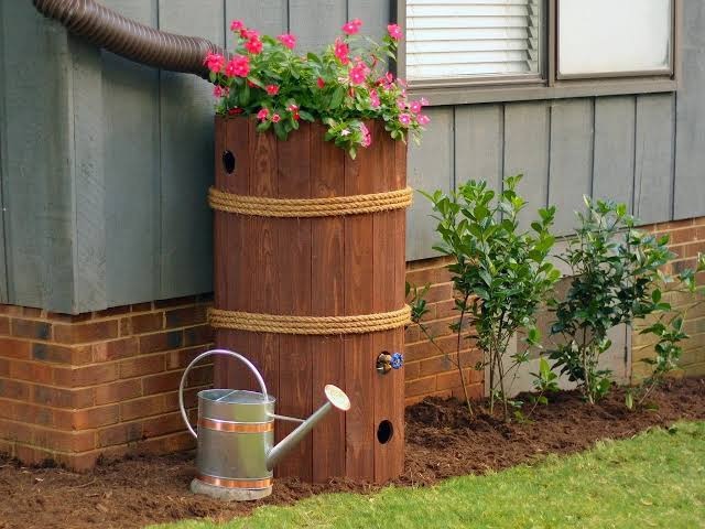 Un récupérateur d'eau de pluie en bois sous une gouttière, avec un arrosoir à côté